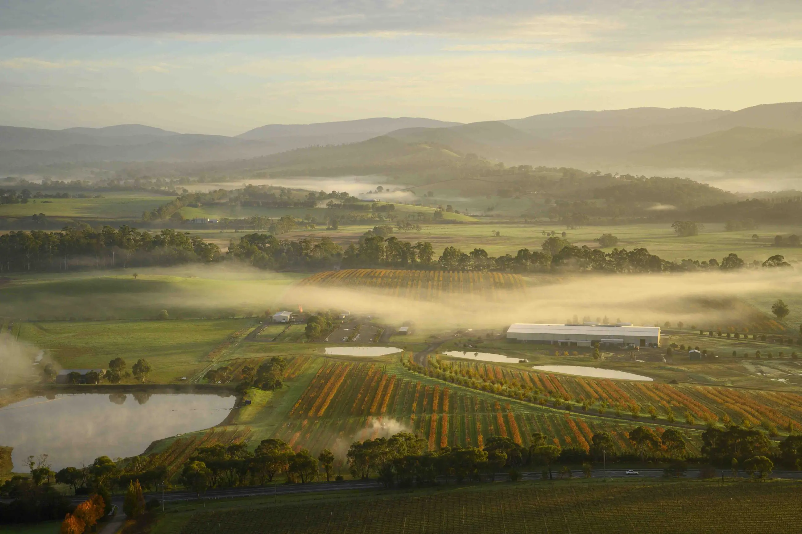 689c0672caa77_8467_yarra-valley-jan-garthjpg7-2