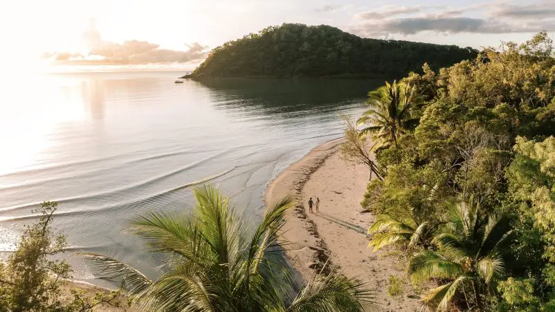 Stunning aerial view of golden sandy beach, lush palm trees, and vibrant sunset on the Daintree Cape Tribulation Port Douglas Tour.