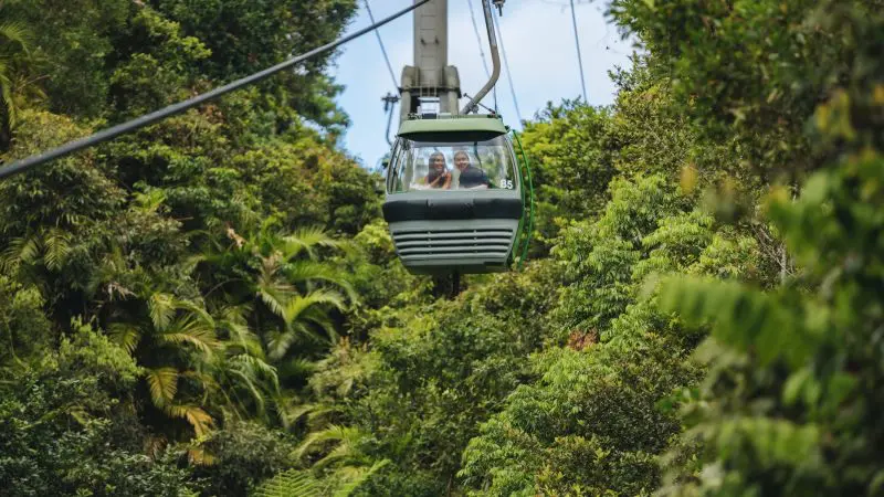 Experience panoramic views as a scenic cable car soars above the lush Daintree Rainforest on the 3 Day Cape Tribulation Tour.