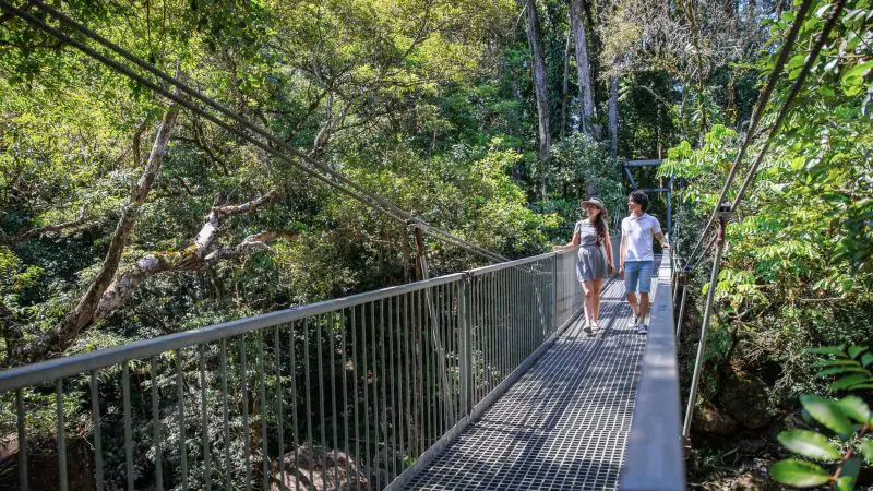 Two travellers cross a metal suspension bridge surrounded by lush rainforest on a 3 Day Daintree, Cape Tribulation, Port Douglas Tour.
