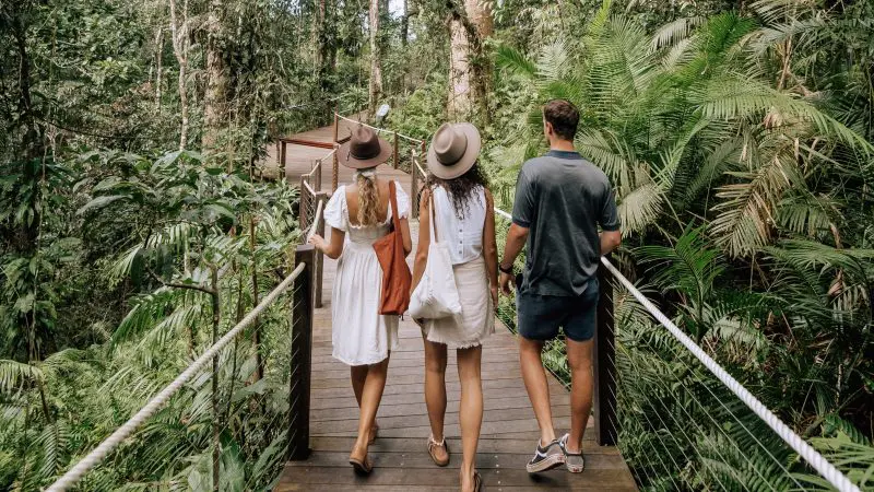 Three travellers walk a wooden jungle boardwalk towards a lodge on the 3 Day Daintree, Cape Tribulation, Port Douglas Comfort Tour.