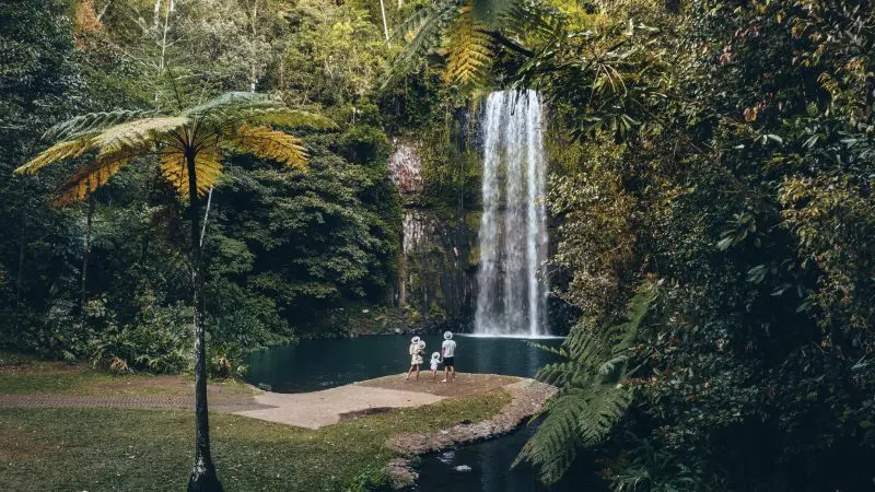 Three travellers at a scenic waterfall surrounded by lush rainforest, capturing highlights of a 14-day Sydney to Cairns tour.