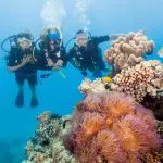 Three scuba divers explore vibrant coral reefs on a 16-day East Coast Australia comfort tour, departing from Sydney.