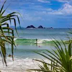 Group of surfers catching waves against lush tropical foliage, ideal scene for 8 Day Sydney to Brisbane With Fraser Island Comfort Tour.