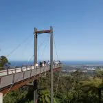 Travellers stroll a treetop walkway bridge, admiring Sydney and ocean panoramas on the 8 Day Sydney to Brisbane Fraser Island Tour.