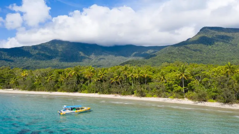 Vibrant yellow boat near a pristine tropical coast, ideal for Great Barrier Reef Eco Adventure tours beneath palm trees and lush mountains.