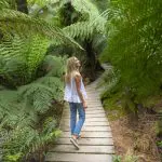 Woman exploring wooden boardwalk through lush green ferns on a Great Ocean Road Rainforest Tour, Australia’s top scenic adventure.