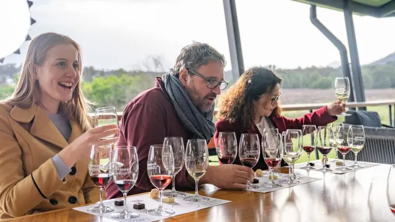 Three friends wine tasting outdoors, laughing on a 1 Day Hunter Valley Scenic Wine Tour amid vineyards under clear skies.
