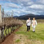 Two women walk by lush vineyards with wine glasses on a sunny Hunter Valley wine tour, rolling hills and blue sky in the background.
