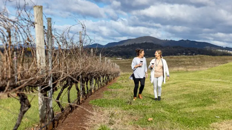 Two women walk by lush vineyards with wine glasses on a sunny Hunter Valley wine tour, rolling hills and blue sky in the background.