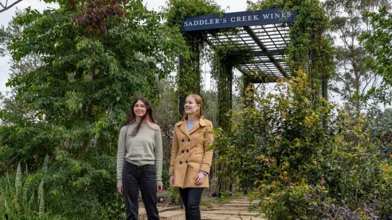 Two women walk beneath a lush vine-clad pergola at Saddler’s Creek Wines during a scenic 1 Day Hunter Valley wine tasting tour.