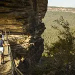 Experience breathtaking Blue Mountains views as two adventurers walk a fenced cliffside trail on a Sunset Wilderness Tour.