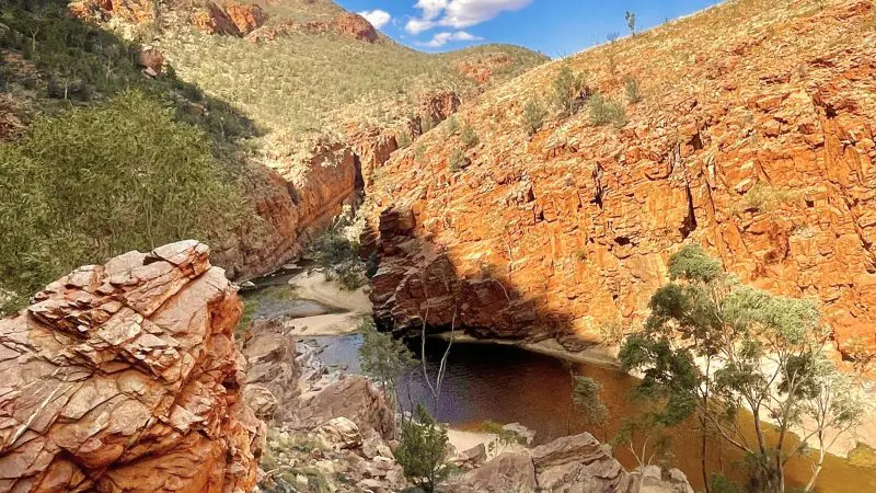 Stunning orange cliffs and a winding river cut through a rugged gorge with sparse trees on the 1 Day West MacDonnell Ranges tour.