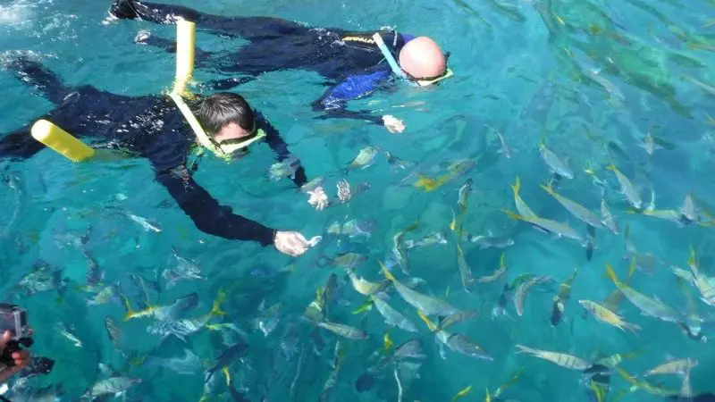 Snorkeling at whitsunday islands