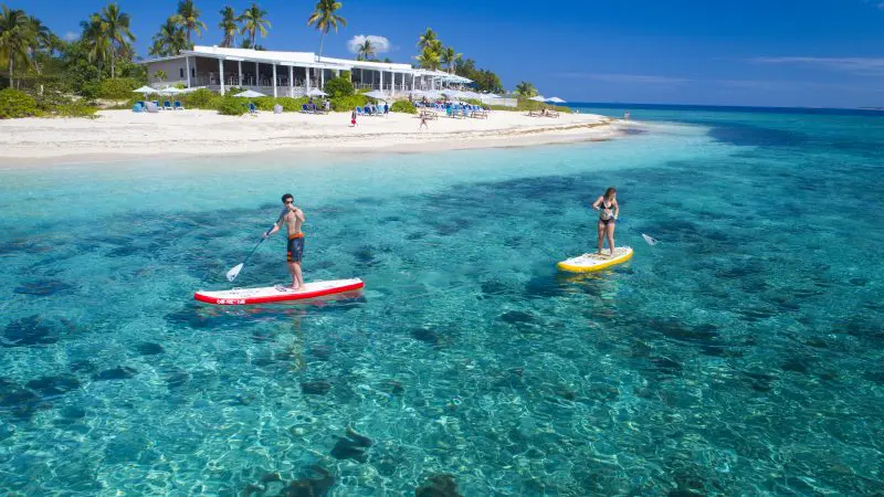 Two paddleboarders glide on crystal-clear turquoise water by a tropical sandy beach with palm trees and a white resort building.