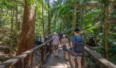 backpackers exploring K'gari at central station with Peterpans