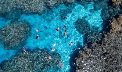 Image of people snorkelling in reefs in Fiji