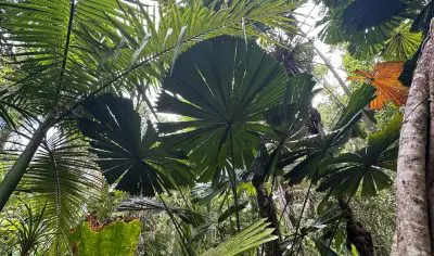 PHOTO 2024 10 22 10 38 31