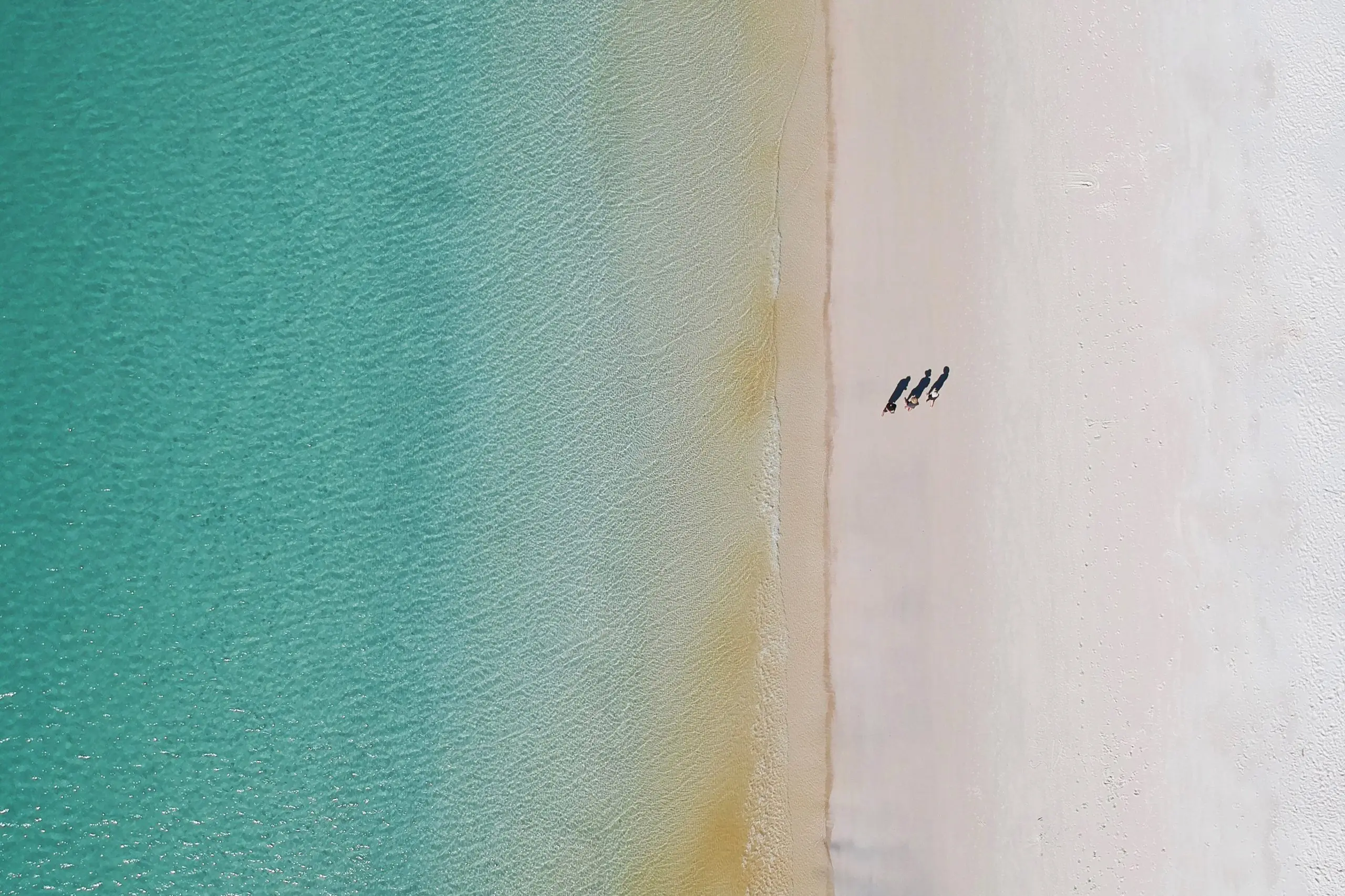 zhimai zhang kF8d9eTKQNk unsplash