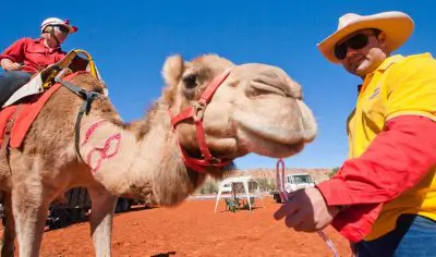 Camel Races – Alice Springs