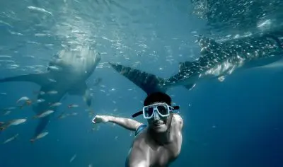 michael liao 2UVX62wP vo unsplash