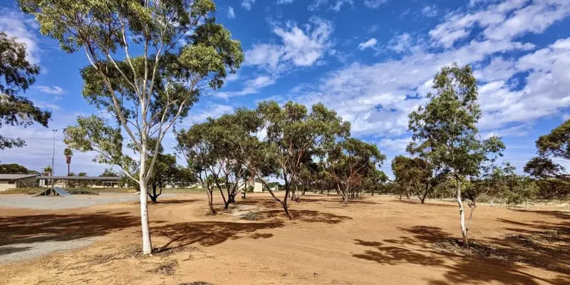 Bright red desert dirt in the outback with sparse native trees around it. the sky is srikingly blue with white clouds scattered