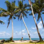 5c513b73830d2_1588_thaintrotansadetswinghires-1