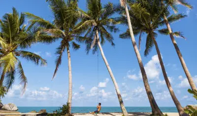 5c513b73830d2_1588_thaintrotansadetswinghires-1