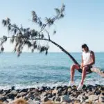 69f96c757a818_2952_noosa-palm-tree-welcome-to-travel-2