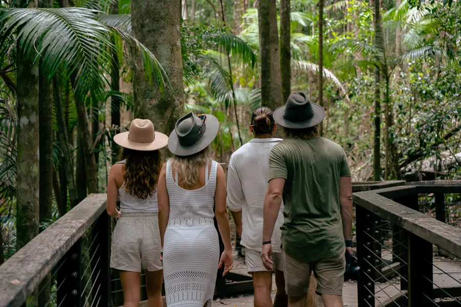 group walking through rainforests on kgari fraser island