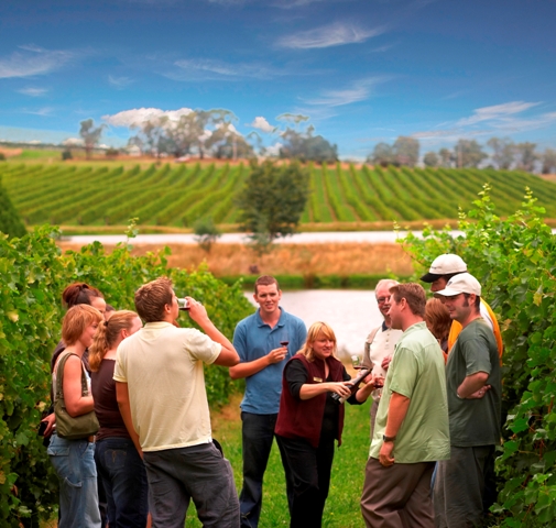Visitors savour a premium Yarra Valley wine tasting, chatting beneath clear blue skies among scenic, vibrant vineyard rows.