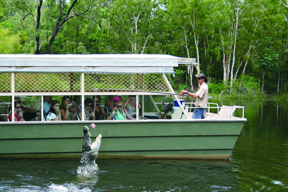 Hartleys Zootastic 5 tour guide feeds a leaping crocodile in lush greenery as tourists observe, crocodile feeding wildlife attraction.