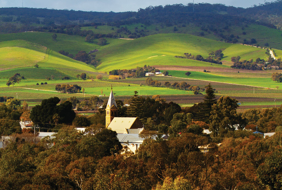 Scenic Barossa Valley village with church spire nestled among lush trees and rolling hills, seen on Hop On Hop Off wine tours.