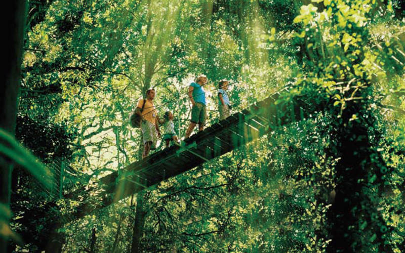 A family walks across a scenic suspension bridge in O’Reilly’s Lamington National Park as golden sunlight filters through lush rainforest trees near Brisbane.