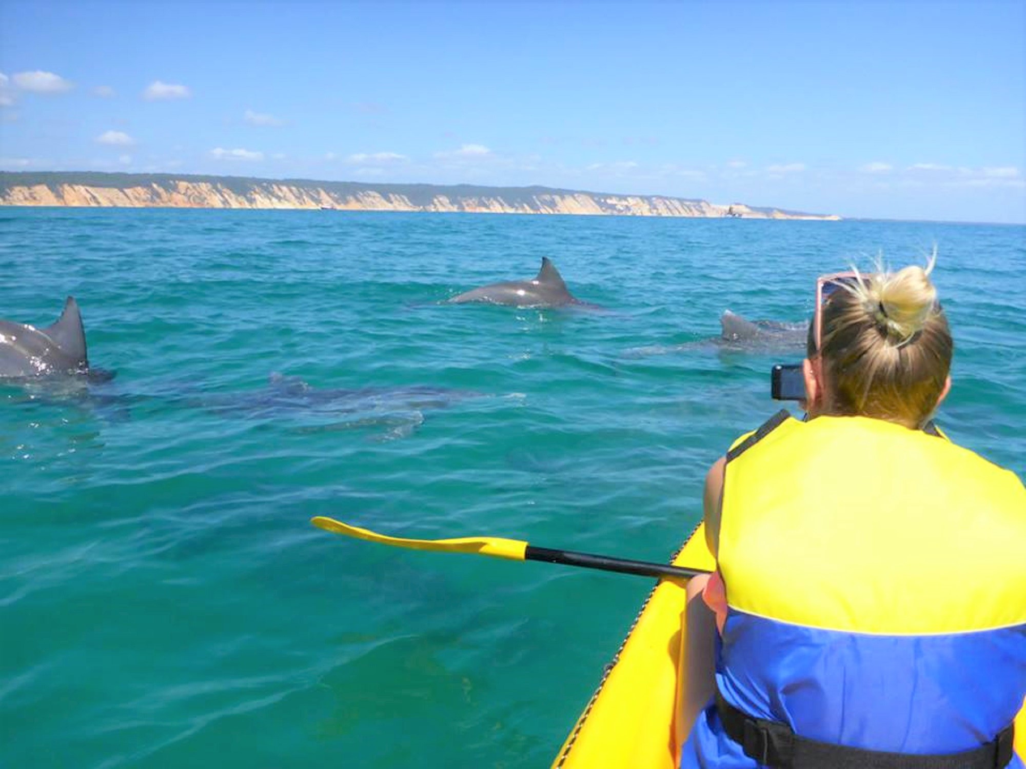Adventurer in a yellow sea kayak with life jacket observes wild dolphins swimming along the scenic Noosa coastline, Queensland, Australia.