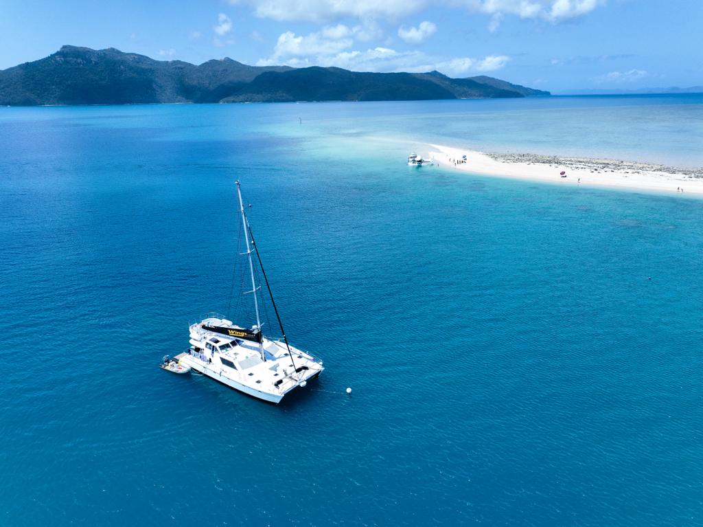 Wings Premium Whitsundays catamaran anchored off a pristine sandy isle, turquoise waters, and lush green hills in the background.