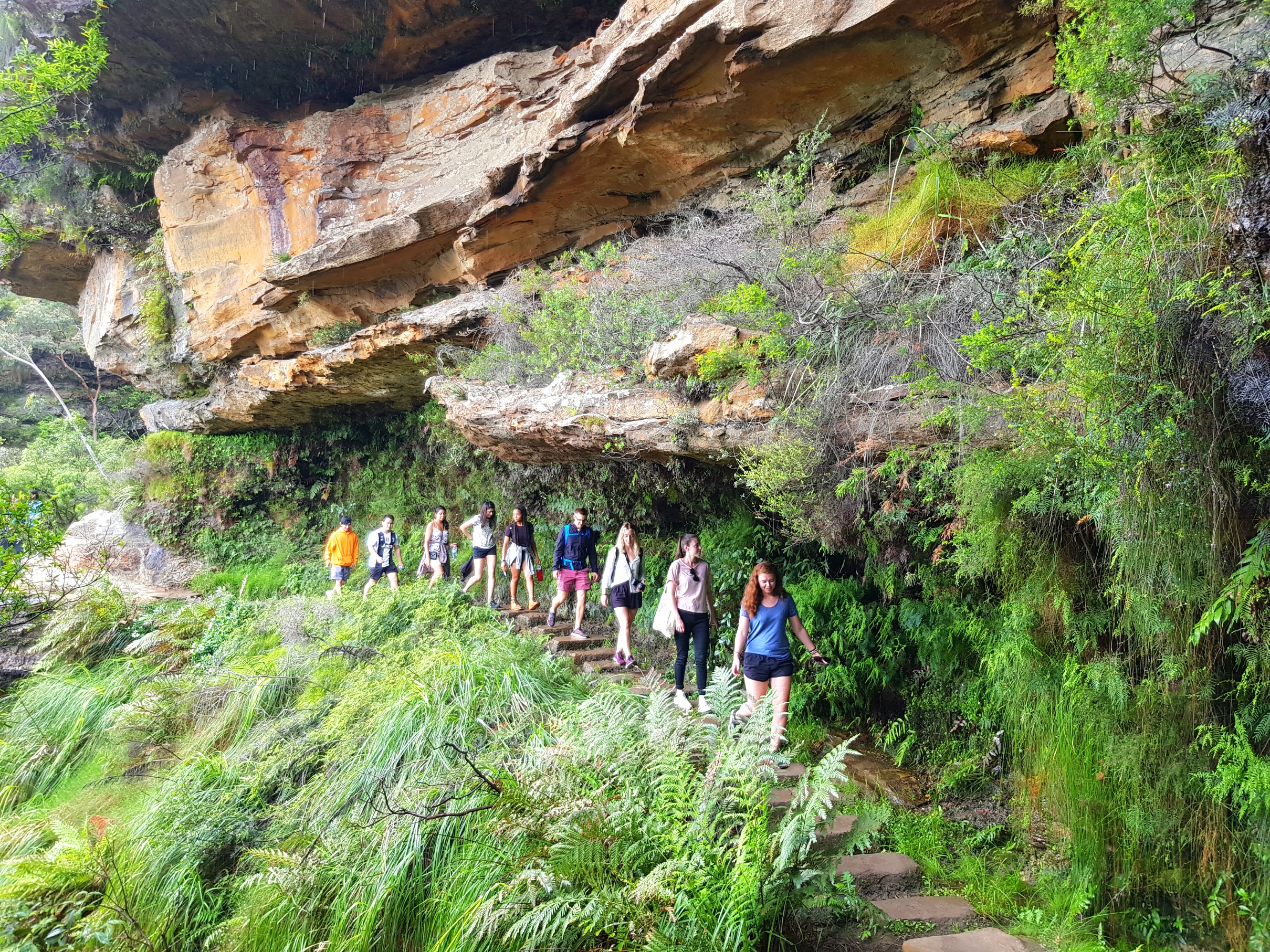 Adventure seekers ascend scenic stone steps under dramatic cliffs on a guided Blue Mountains Day Tour featuring waterfall walks and a sociable lunch.