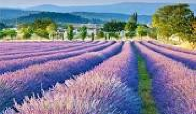 66bae046187a5_1283_hepburn