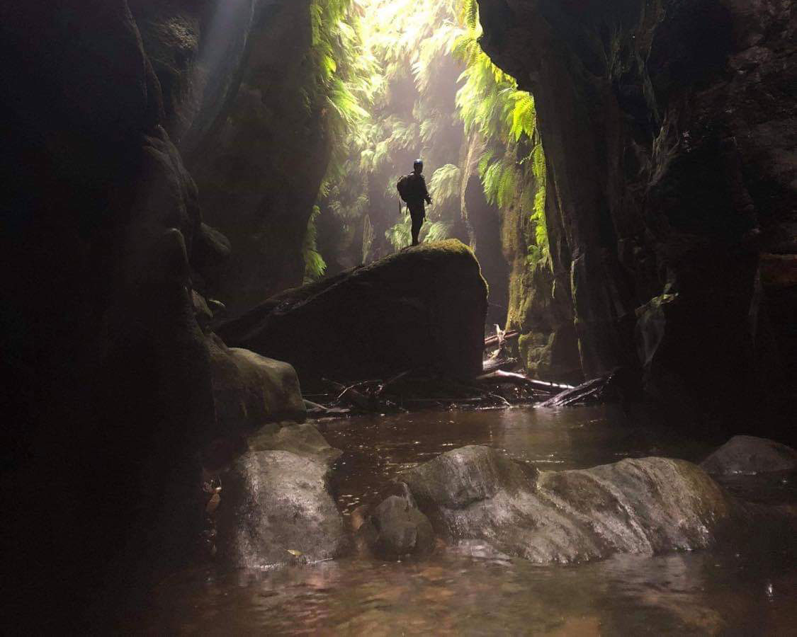 Hiker stands on a rock in Twister and Rocky Creek Canyons, lush ferns and sunlit, crystal-clear water flowing around them.