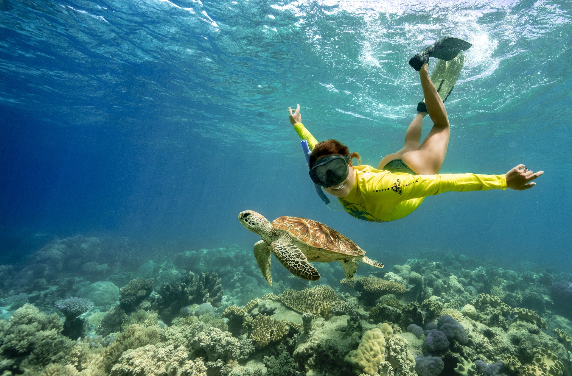 Snorkeller in yellow shirt explores vibrant coral reef with sea turtle during Great Barrier Reef Eco Adventure tour.