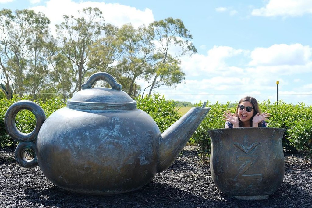 A woman poses in a giant teacup sculpture next to a large teapot at Zealong Tea Estate on a bright, sunny day in New Zealand.