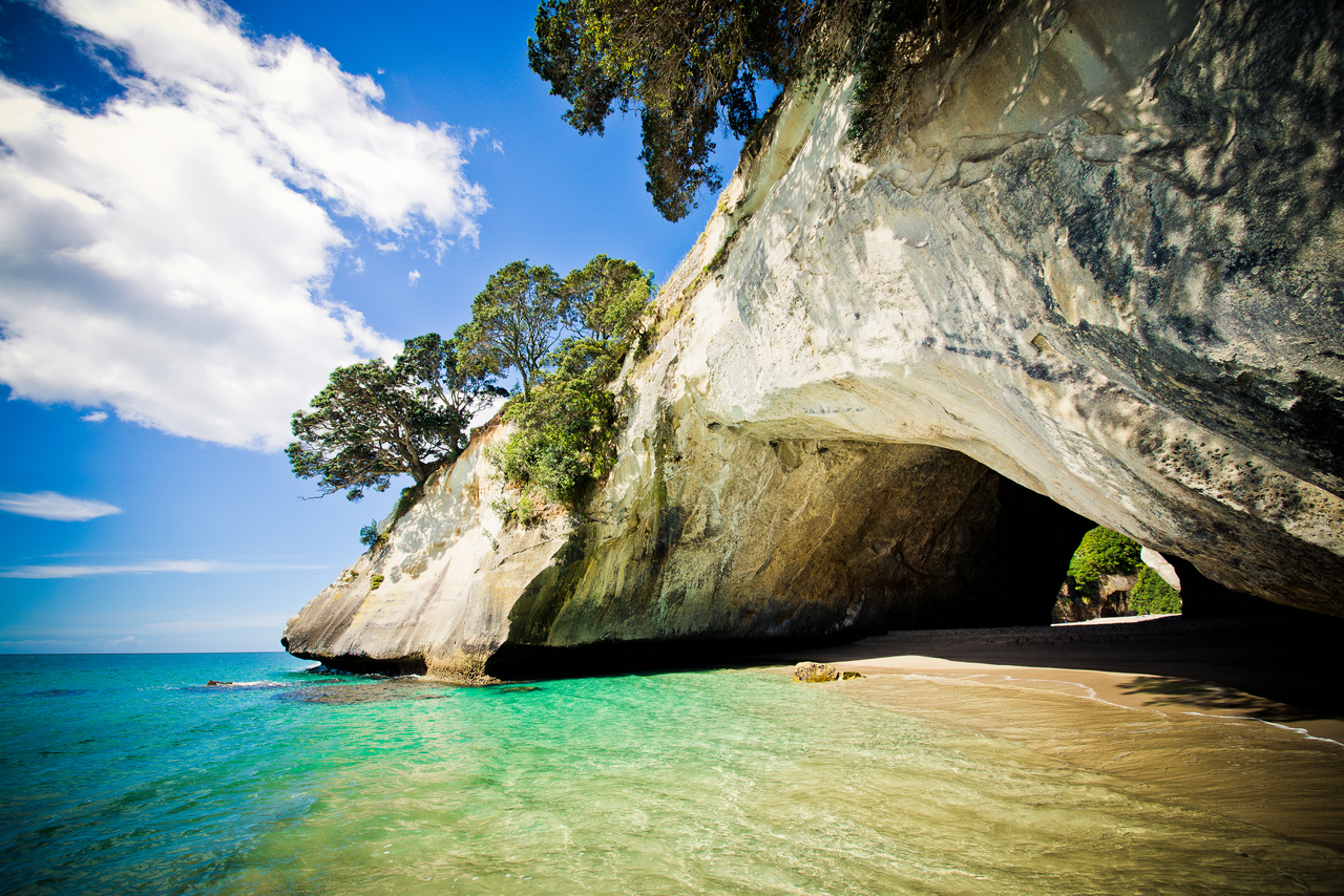 Cathedral Cove’s sandy beach, crystal-clear turquoise waters, iconic rocky arch and lush trees under a vibrant blue sky in New Zealand.