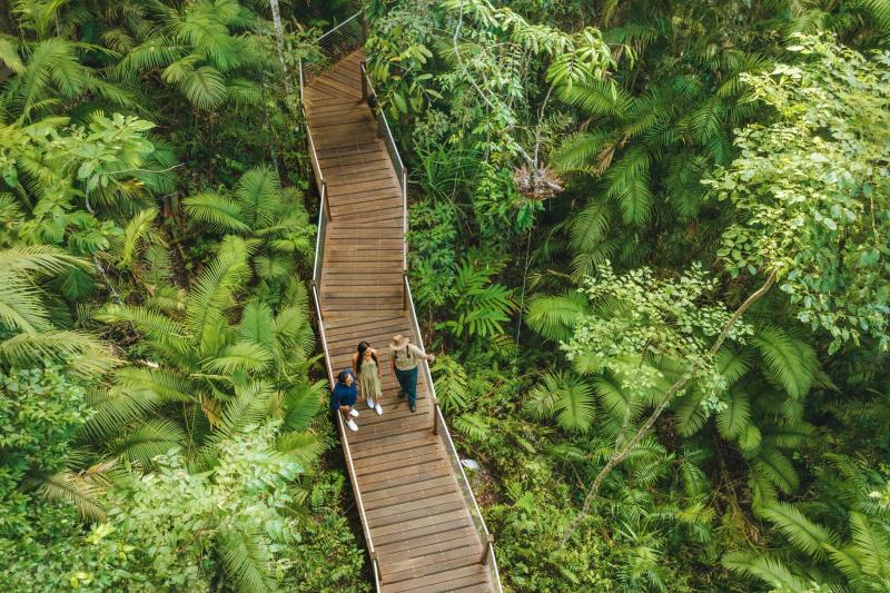 Three tourists explore a scenic winding boardwalk through dense rainforest on the 3 Day Daintree Cape Tribulation Port Douglas Tour.