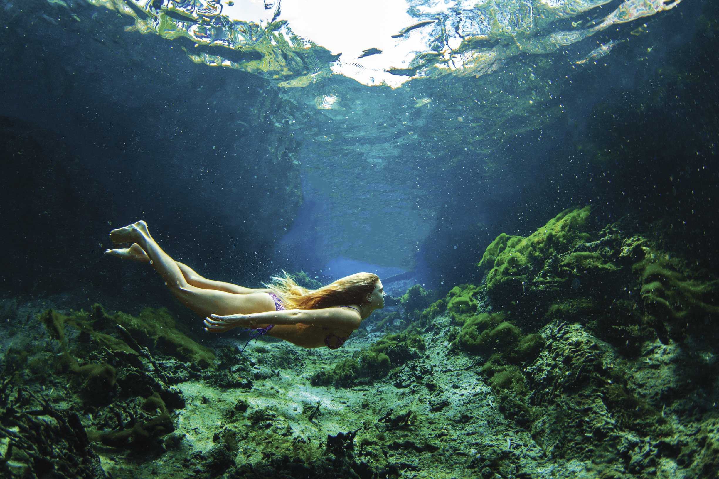 Glowing Turquoise Pools - Elsey National Park Glowing Turquoise Pools - Elsey National Park