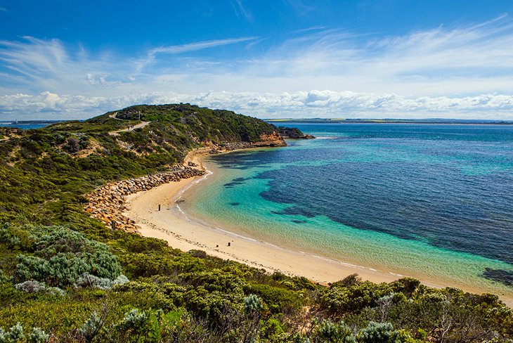 australia mornington peninsula point nepean hello blossoms