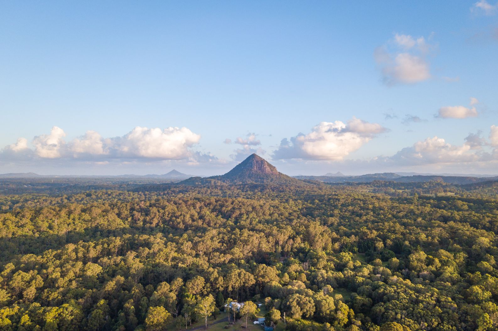 shutterstock 1289236234