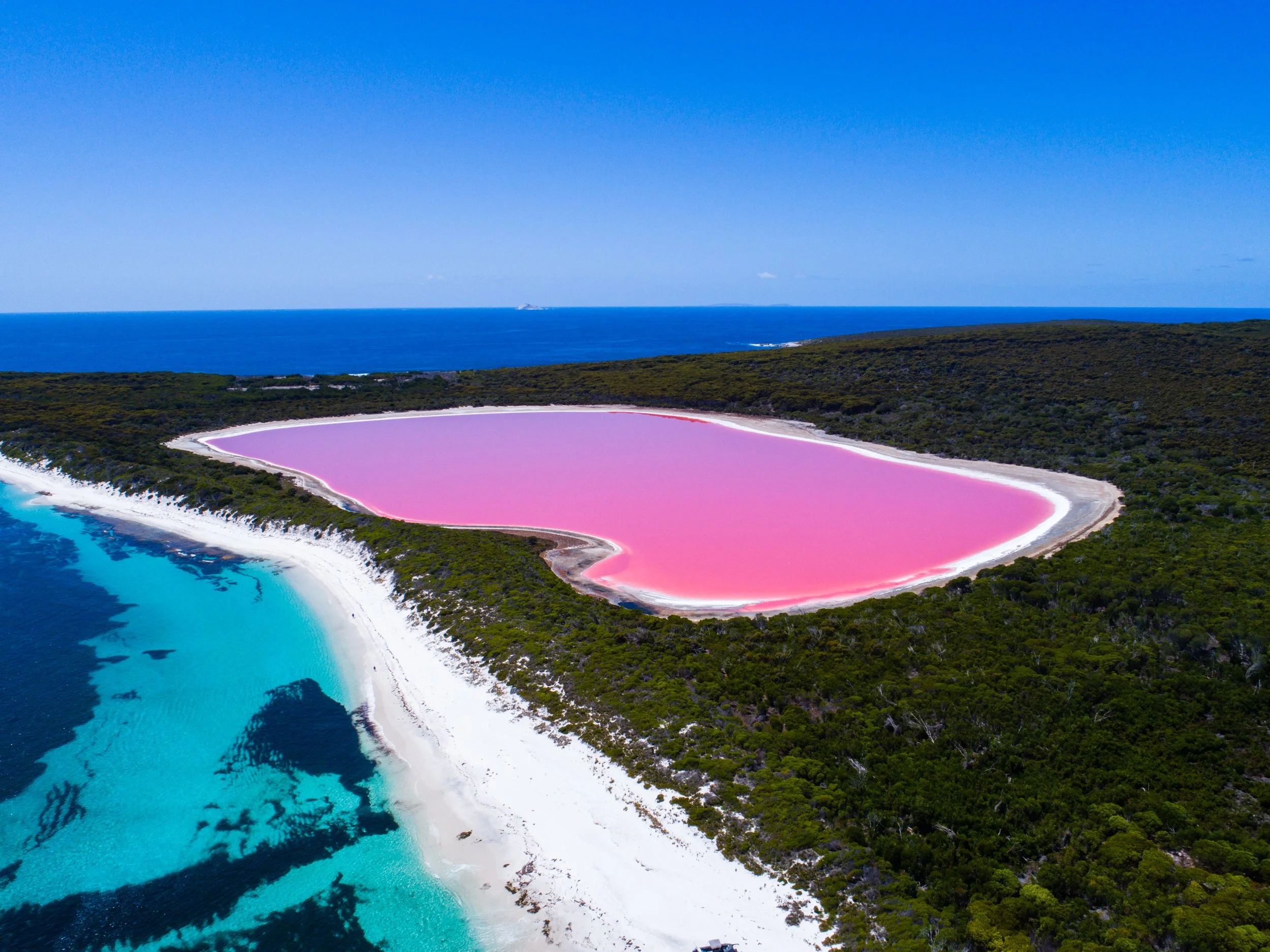 Ocean on the left with reefs, and dark green bush on the coast. In the middle lies a bright pink lake.